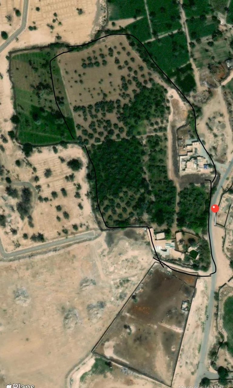Terrain à vendre - circuit Palmeraie  Marrakech